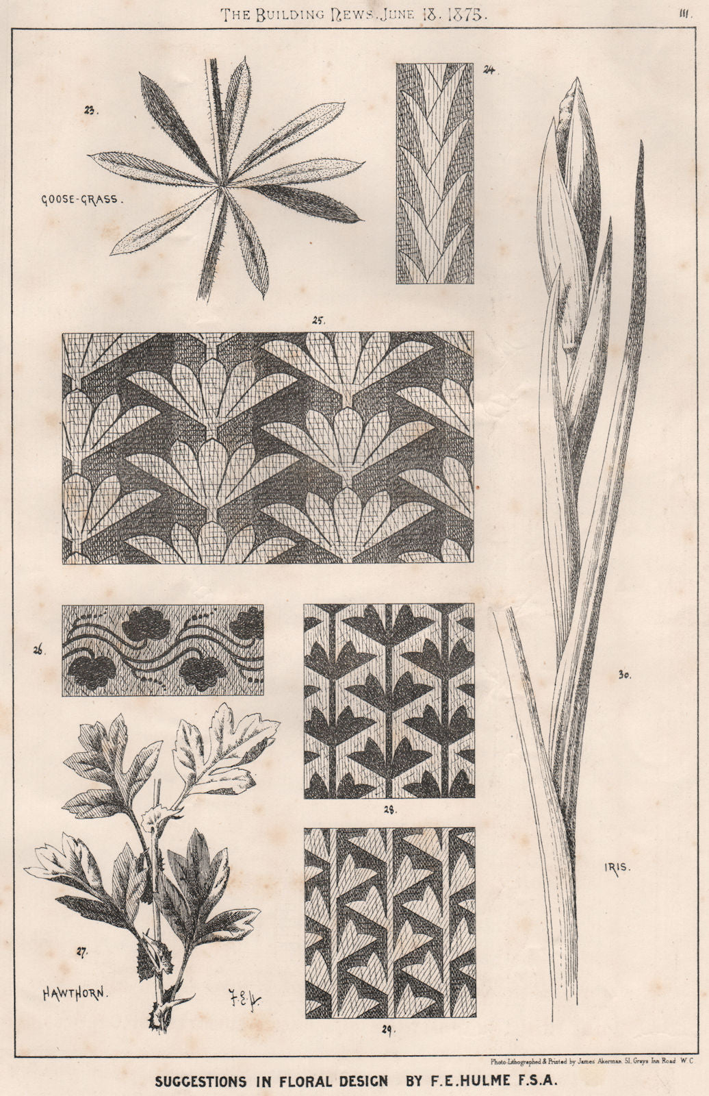Suggestions in Floral; Design by F.E. Hulme F.S.A.. Decorative (2) 1875 print